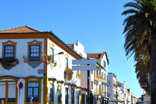 Häuser und Palmen in Aveiro