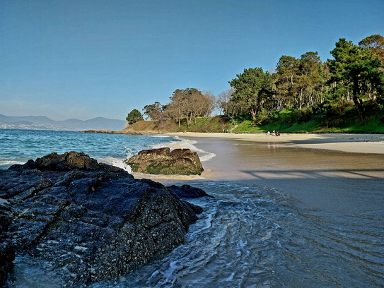 Strand von Vigo mit Meer und Palmen